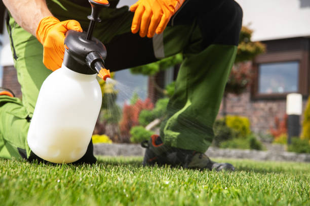 Best Best Pest Control Companies  in Vaeboro, NC