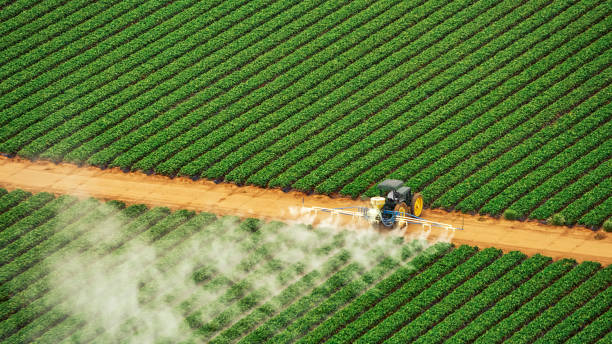 Best Mosquito Control Services  in Vaeboro, NC