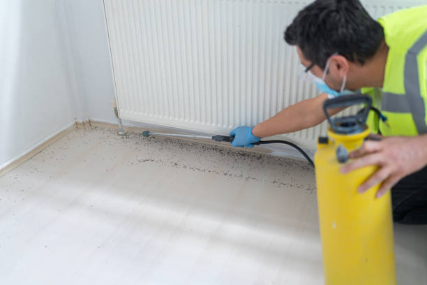 Best Pest Control for Restaurants  in Vaeboro, NC